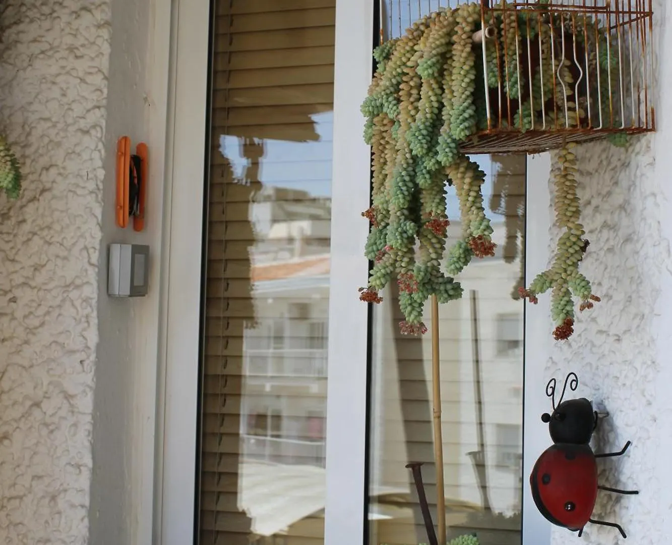 Homestay Habitacion En Piso Compartido Room In Shared Flat Torremolinos